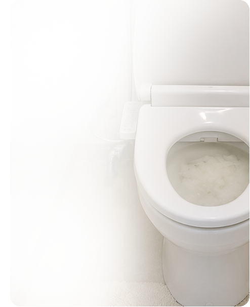 トイレ詰まりの写真